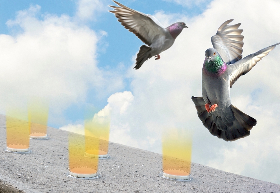 Professzionális madárriasztás a legkorszerűbb optikai géllel