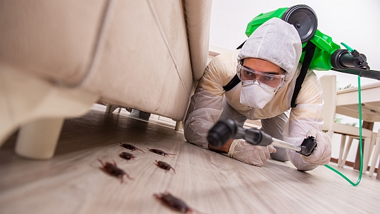 Pest control contractor working in the flat